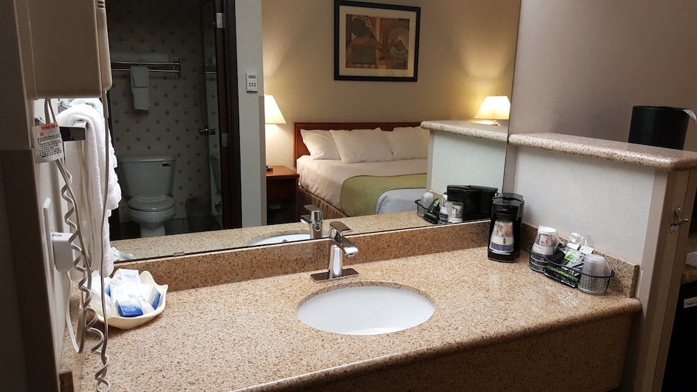 Standard Room, 1 King Bed, Non Smoking, Refrigerator & Microwave