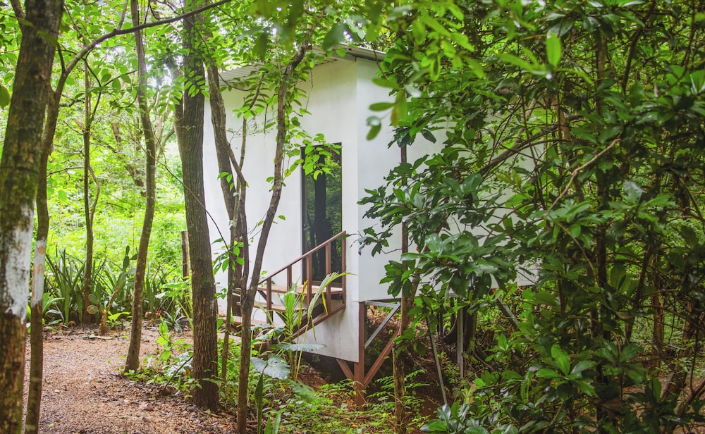 Signature Cabin