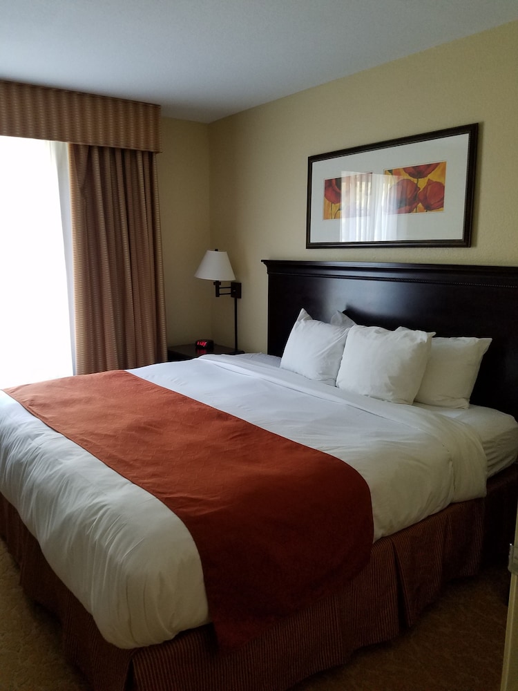 Suite, 1 Bedroom, Non Smoking photo 3