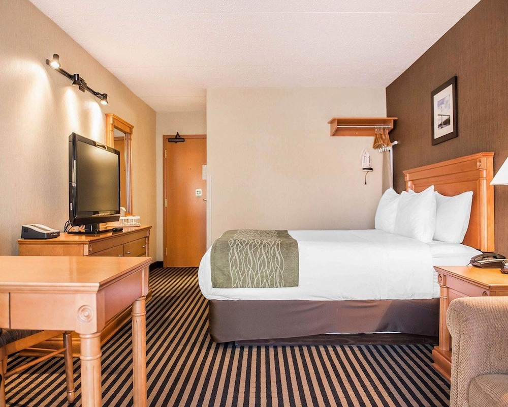 Standard Room, 1 Queen Bed, Non Smoking photo 1