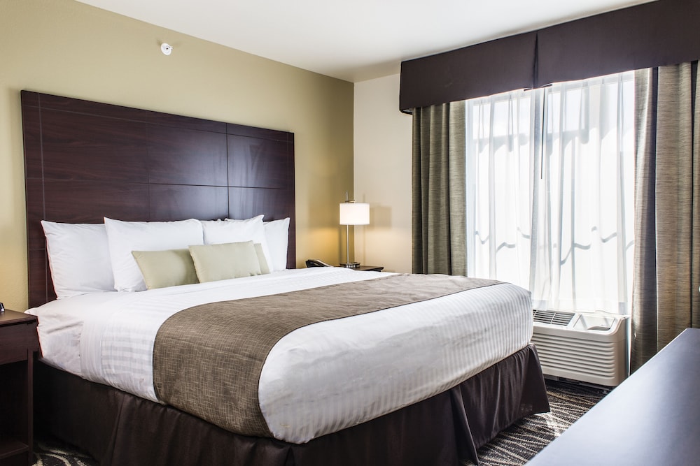 Studio, King Bed with Sleeper Sofa, Non Smoking