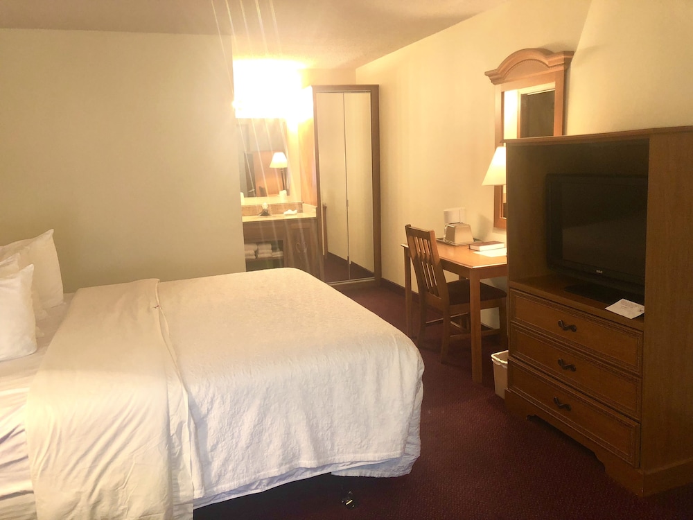 Comfort Room, Non Smoking (1 King Bed) photo 3