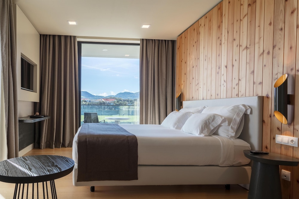 Standard Double Room Single Use, Balcony, Mountain View photo 3