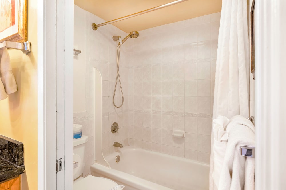 Waikiki Banyan 1BR Condos with No Parking: Apartment, 1 Bedroom (0088 Wb 2801 T2) photo