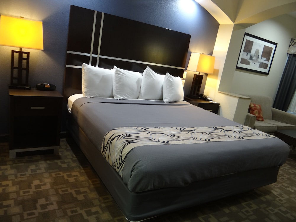 Basic Single Room - Photo 2
