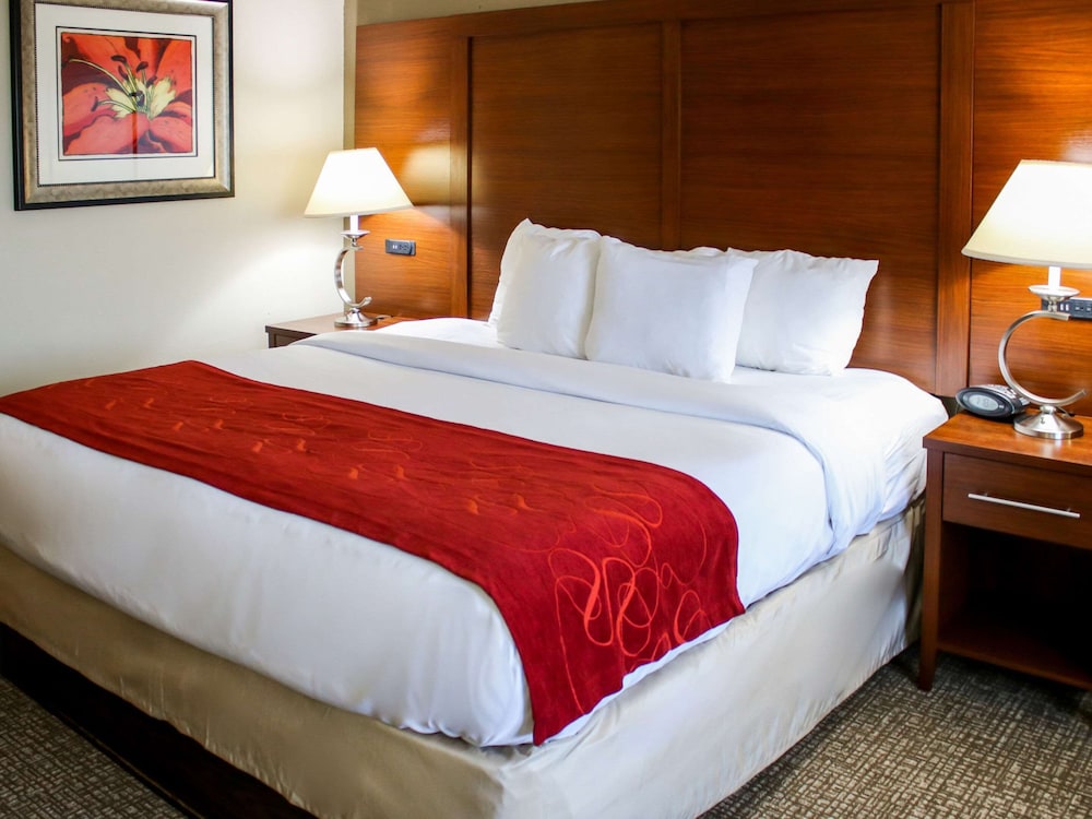 Comfort Suites At Virginia Center Commons, Billede 6