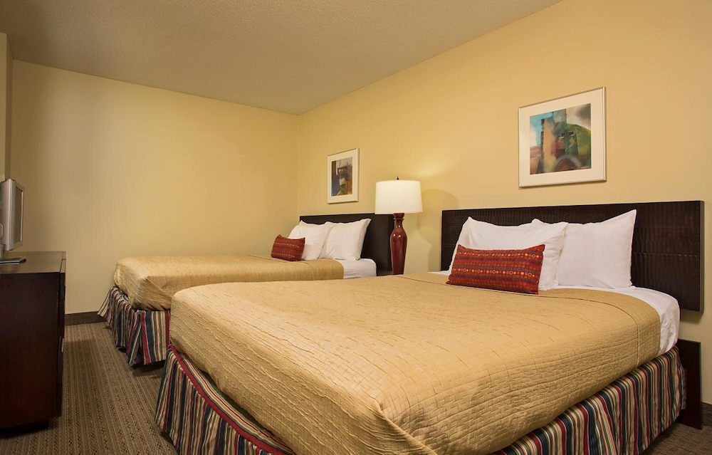 Suite, 1 Bedroom photo 1