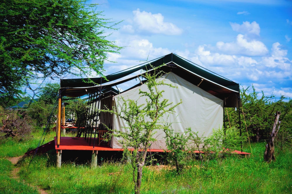 Tent, Park View