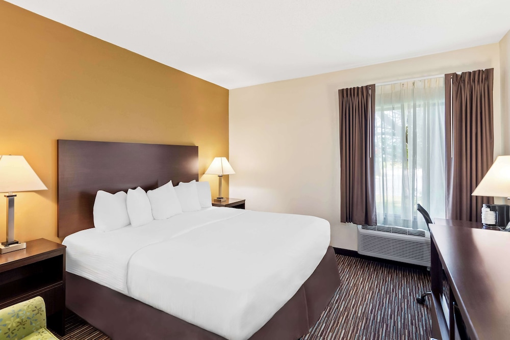 Suite, 1 King Bed, Accessible, Refrigerator & Microwave - Photo 1