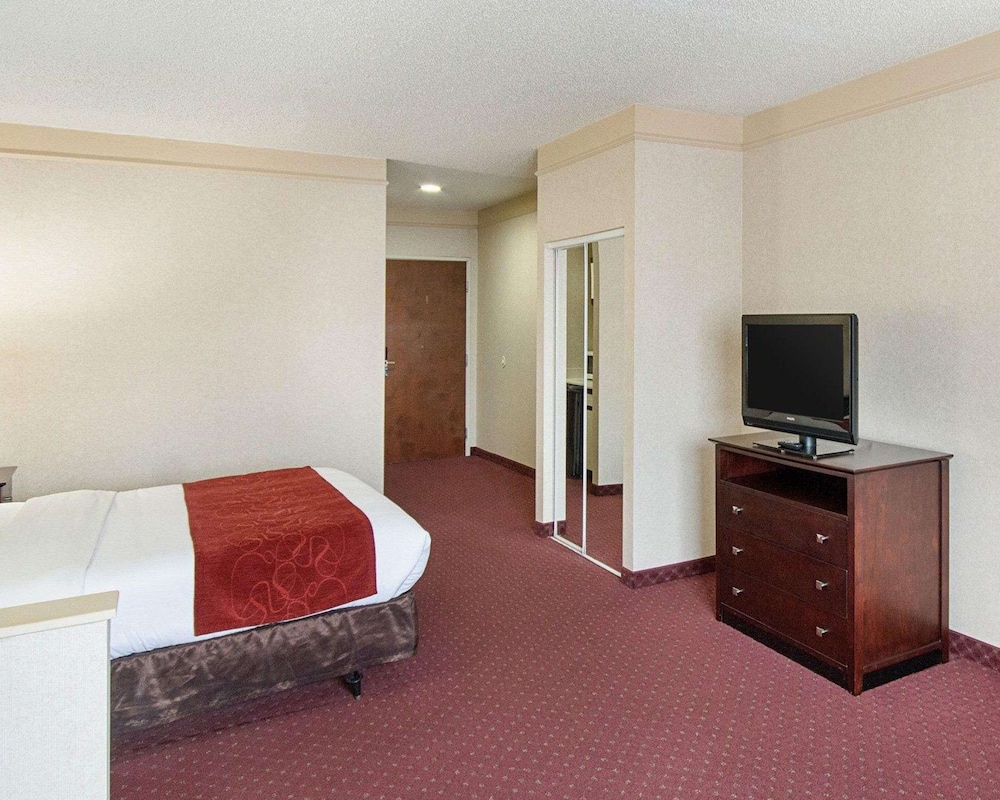 Standard Room, 1 King Bed, Non Smoking photo 2