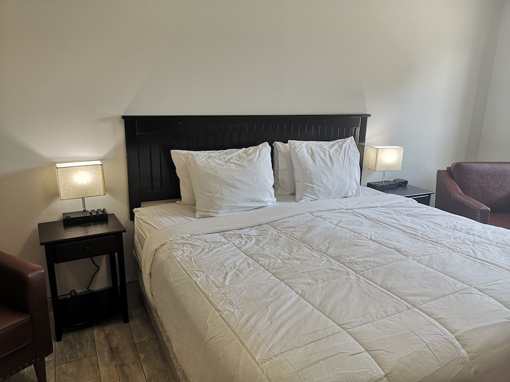 Room, 1 King Bed photo 1