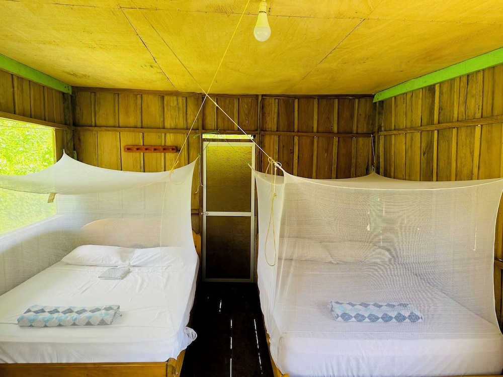 Classic Cabin, Multiple Beds photo 2