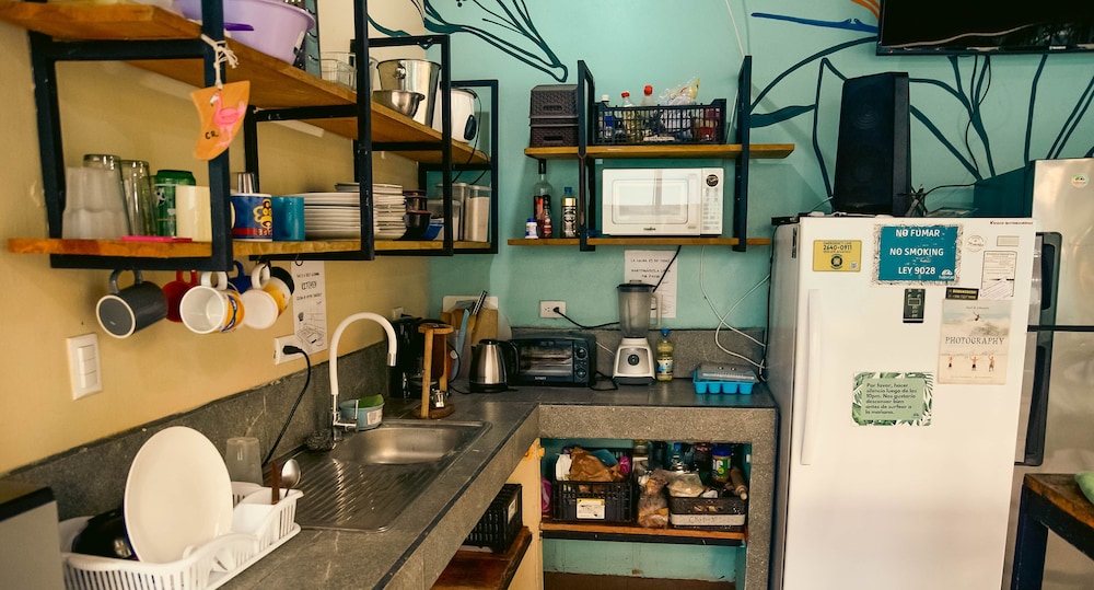 Basic Shared Dormitory, Women only photo 3
