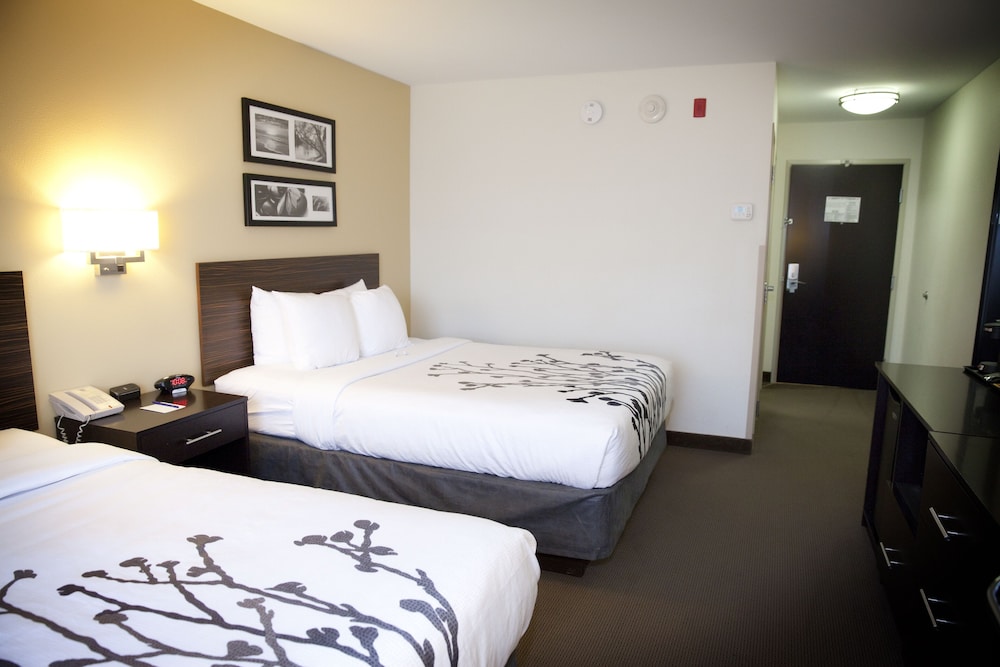 Standard Room, 2 Queen Beds, Non Smoking photo 3