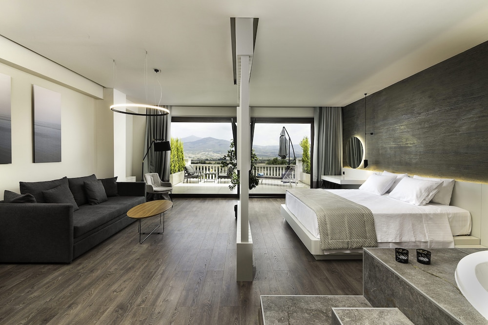 Panoramic Studio Suite, 1 King Bed photo 1