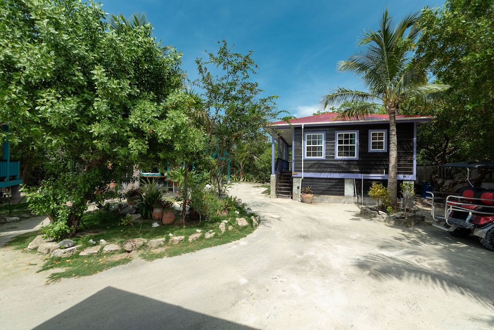 TARPON HOUSE: 1 Bedroom, Resort View, Garden Area photo 3