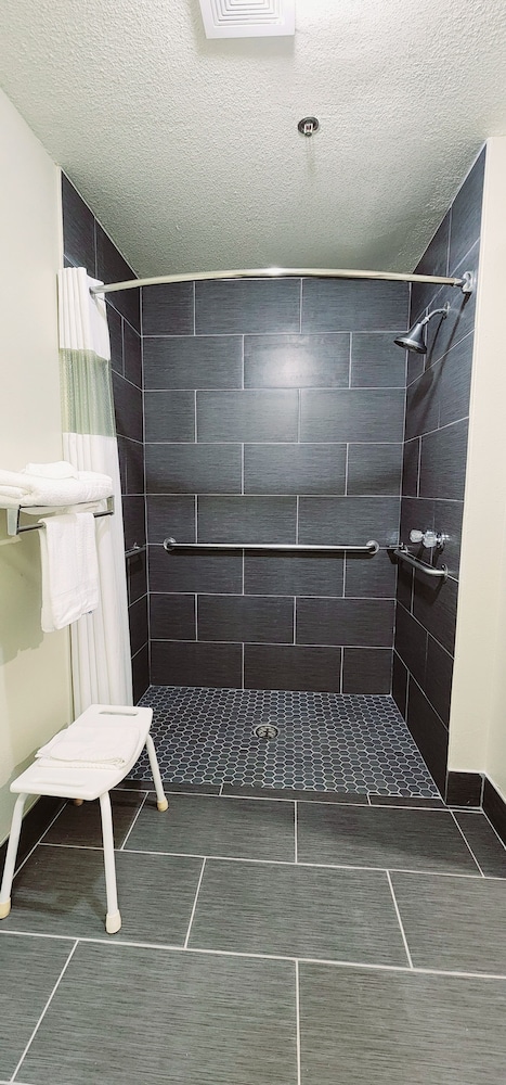 Room, 1 King Bed, Accessible, Non Smoking (Roll-In Shower) photo 2