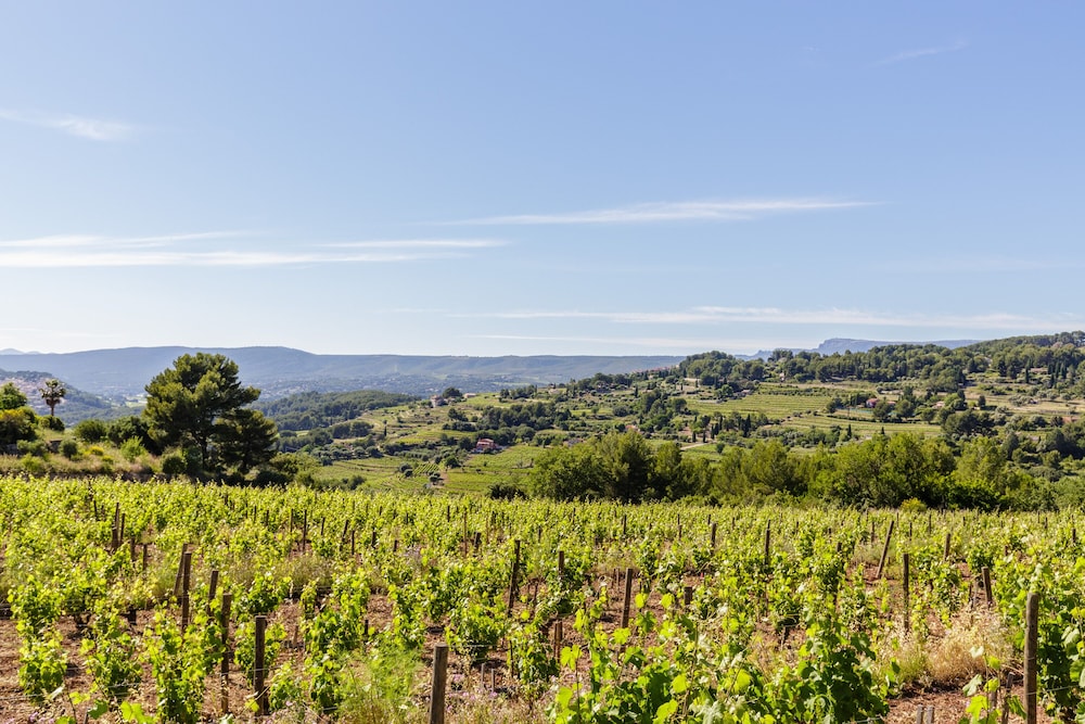 Family House, Ensuite, Vineyard View photo 2