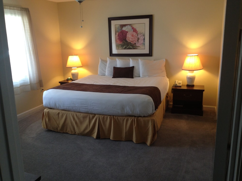 Deluxe Suite, 1 King Bed photo 2