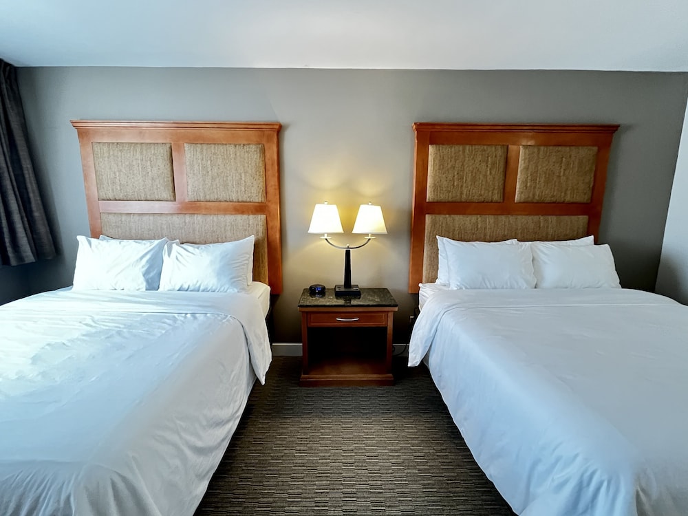 Deluxe Double Room, 2 Queen Beds photo 1