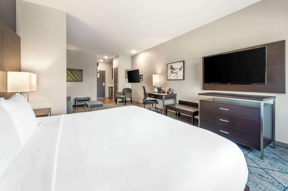 Standard Suite, 1 King Bed, Non Smoking (Kitchenette) - Photo 3