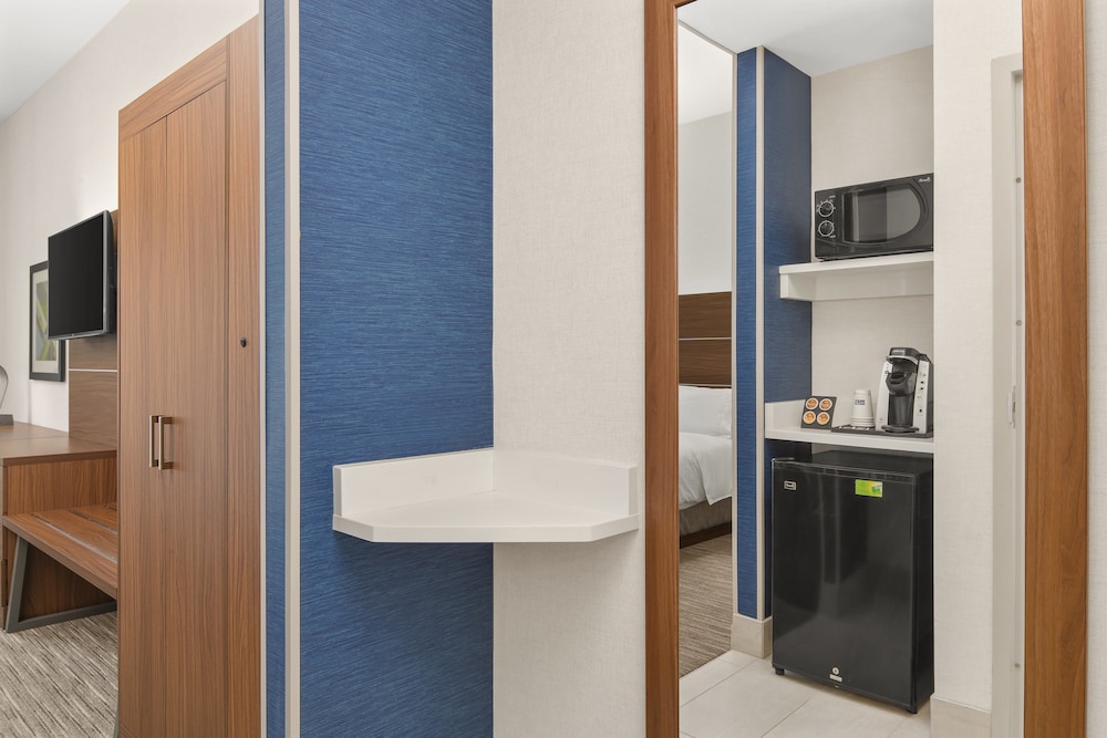 Suite, 1 King Bed, Accessible (Comm Access) - Photo 5