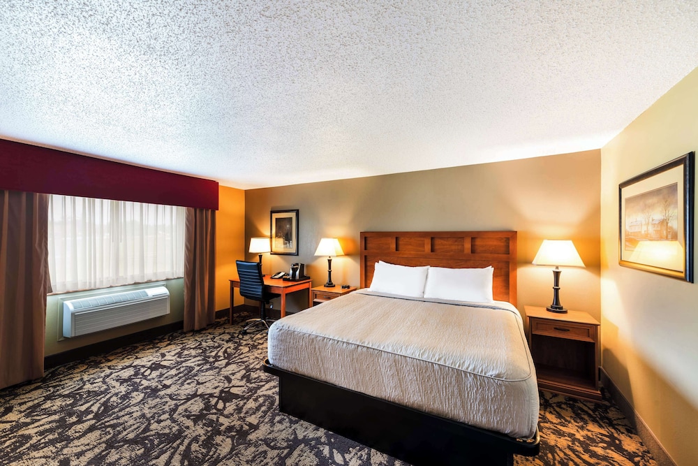 Suite, 1 King Bed, Non Smoking, Refrigerator & Microwave (with Sofabed) photo 3
