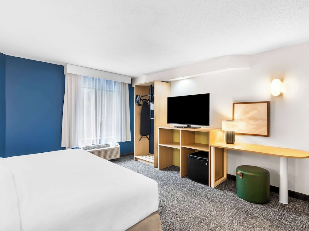 Room, 1 King Bed, Accessible (Mobility & Hearing, Roll-in Shower) - Photo 10
