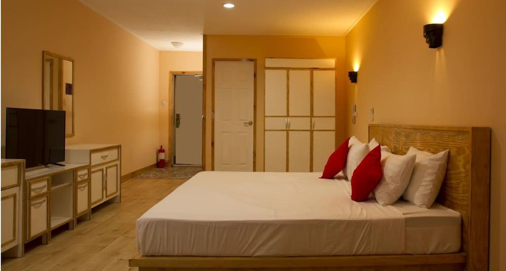 Deluxe Room photo 3
