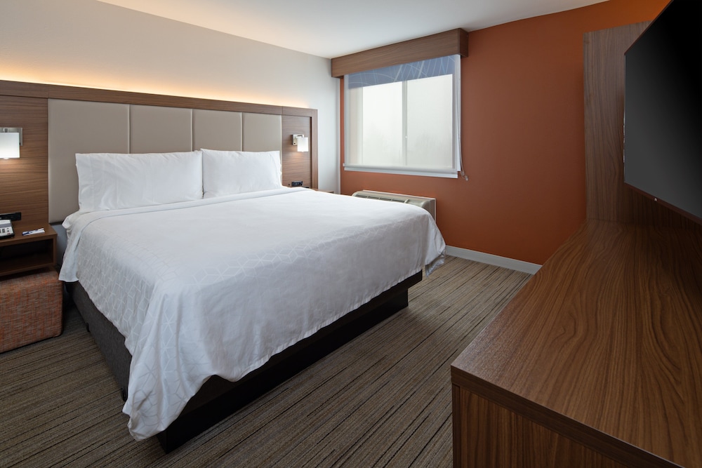 Suite, 1 Bedroom - Photo 4