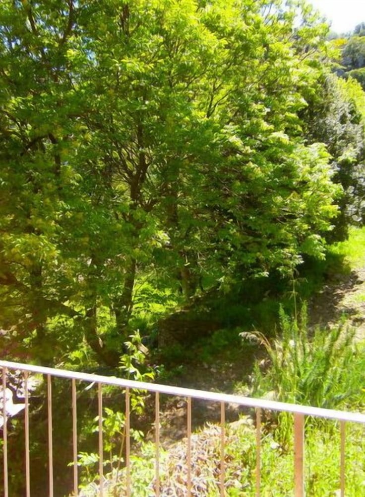 Superior Double or Twin Room, Ensuite, Garden View photo 3