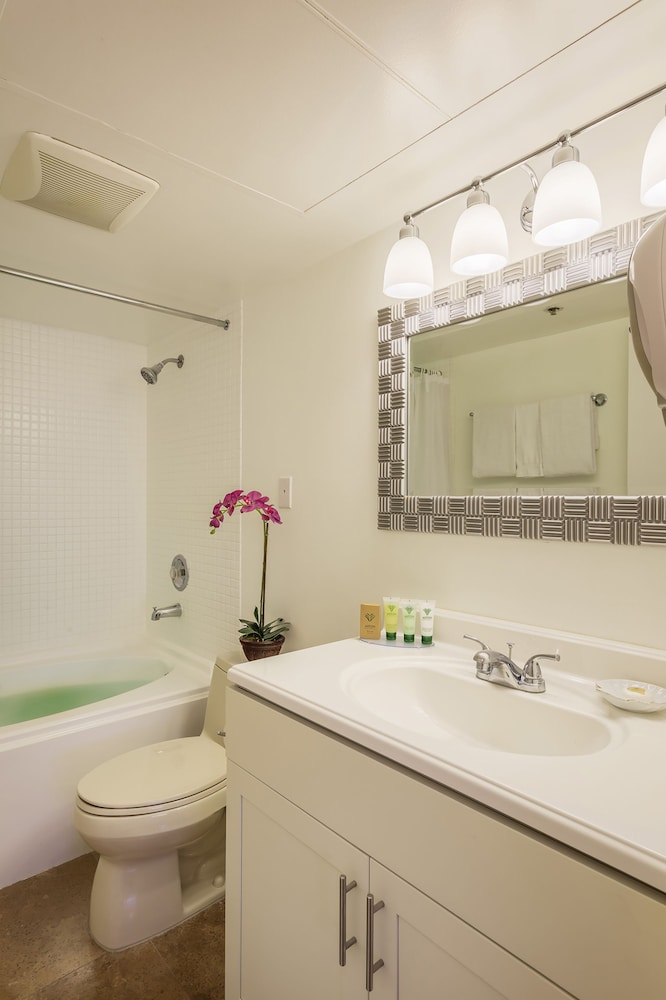 Panoramic Studio, Kitchenette, City View - Photo 6