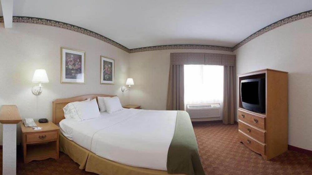 Suite, 1 Bedroom, Jetted Tub photo 3