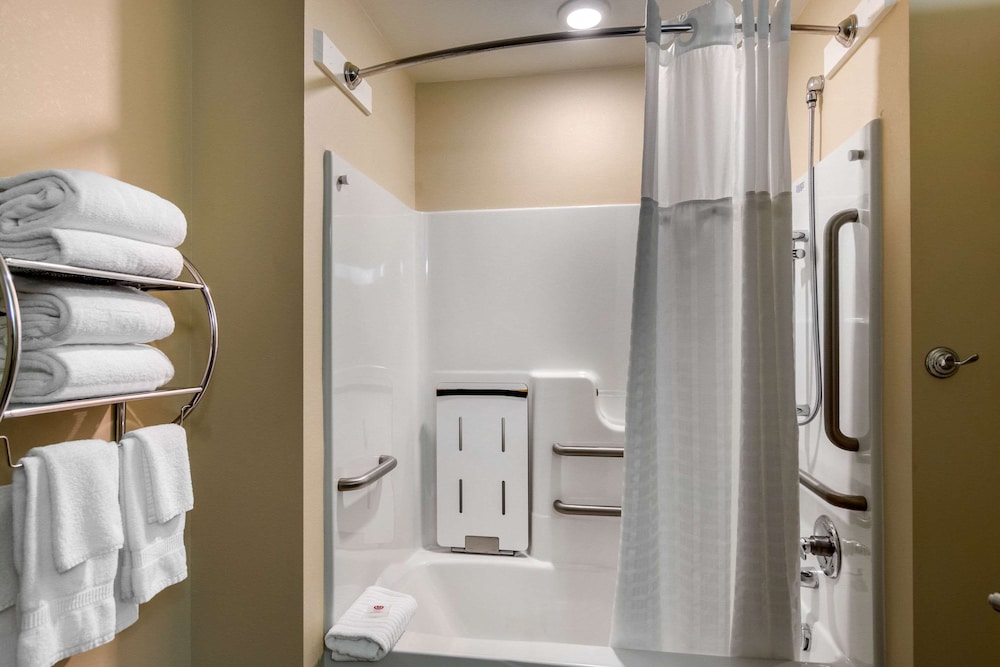 Comfort Inn South Chesterfield - Colonial Heights, Foto 5