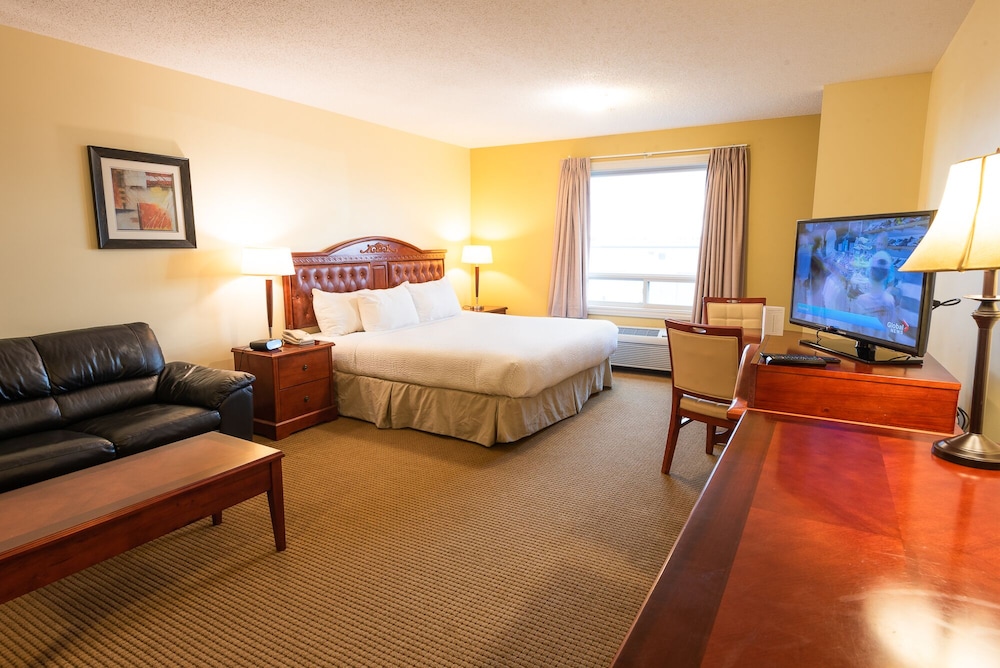 Standard Room, 1 King Bed with Sofa bed, Smoking (Efficiency) - Photo 7