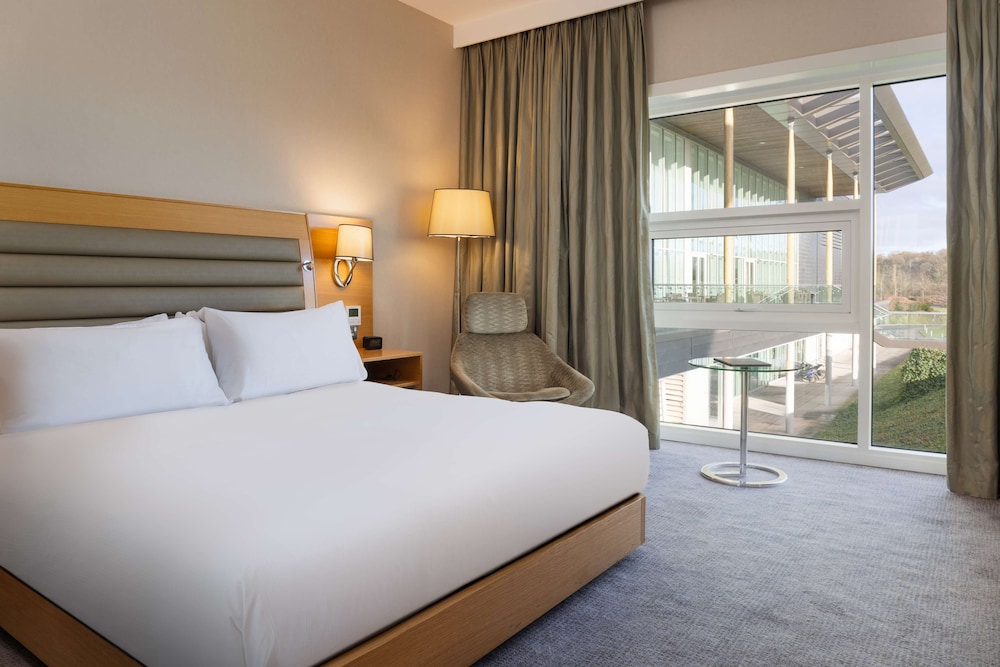 King Accessible Deluxe Room - Photo 5