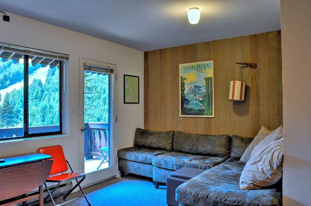 508 Standard 1 Bedroom Unit photo 3