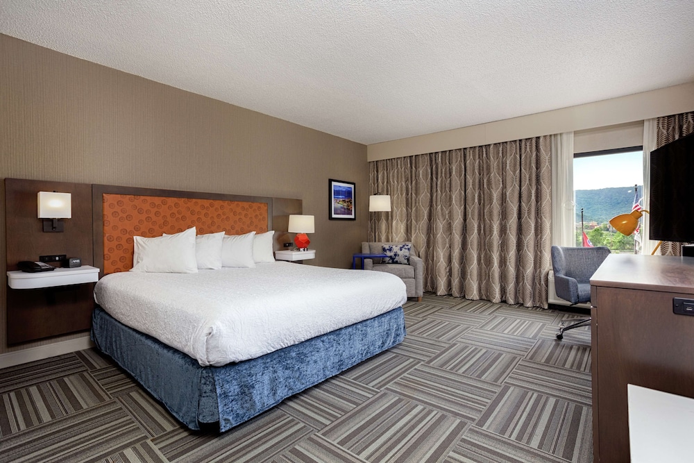 Room, 1 King Bed, Accessible, Bathtub (Mobility & Hearing) - Photo 1
