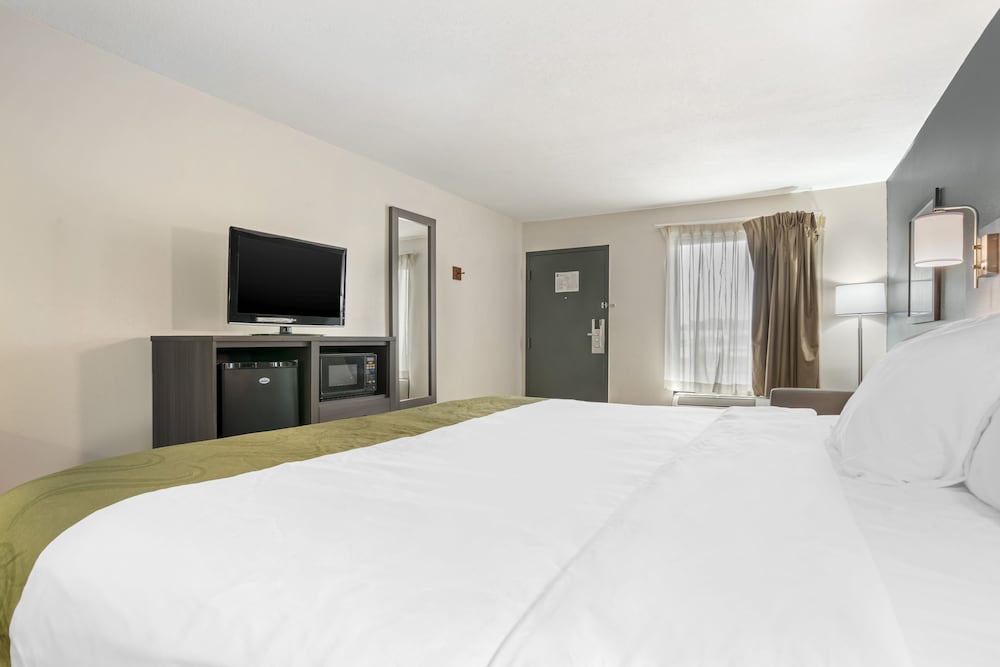 Suite, 1 King Bed, Non Smoking - Photo 4