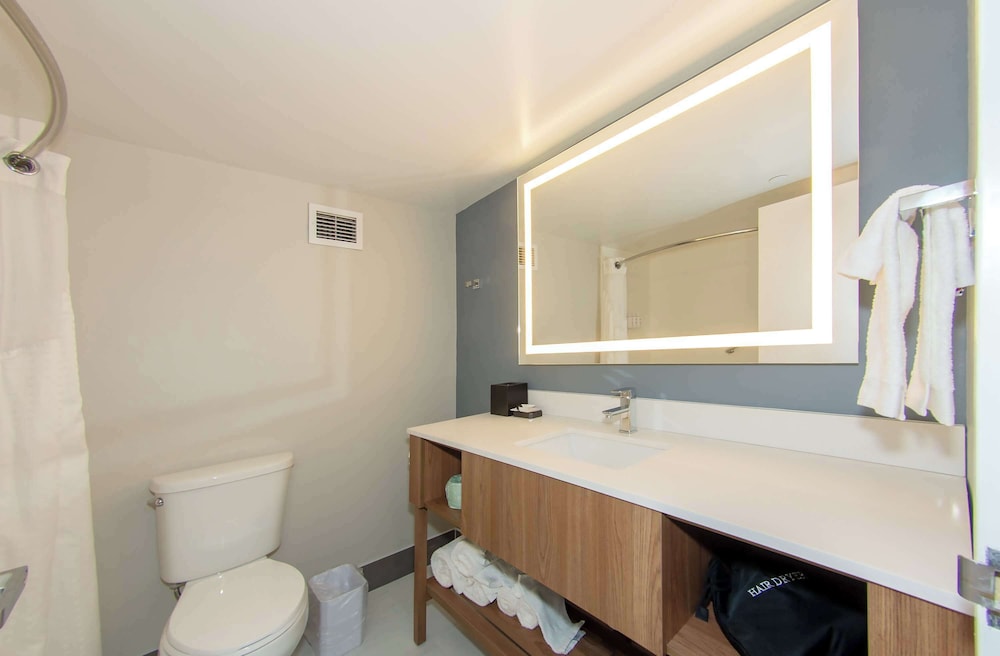 Deluxe Room, 1 King Bed - Photo 6