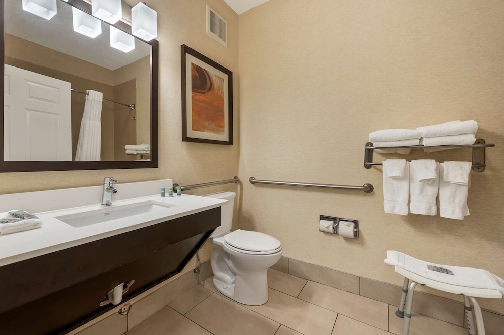 Suite, 1 King Bed, Accessible, Non Smoking (with Sofabed) - Photo 6