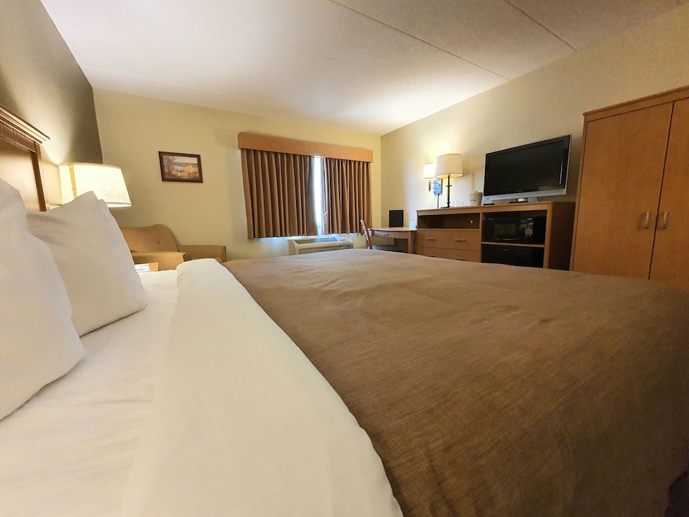 Executive Room, 1 King Bed, Non Smoking - Photo 3