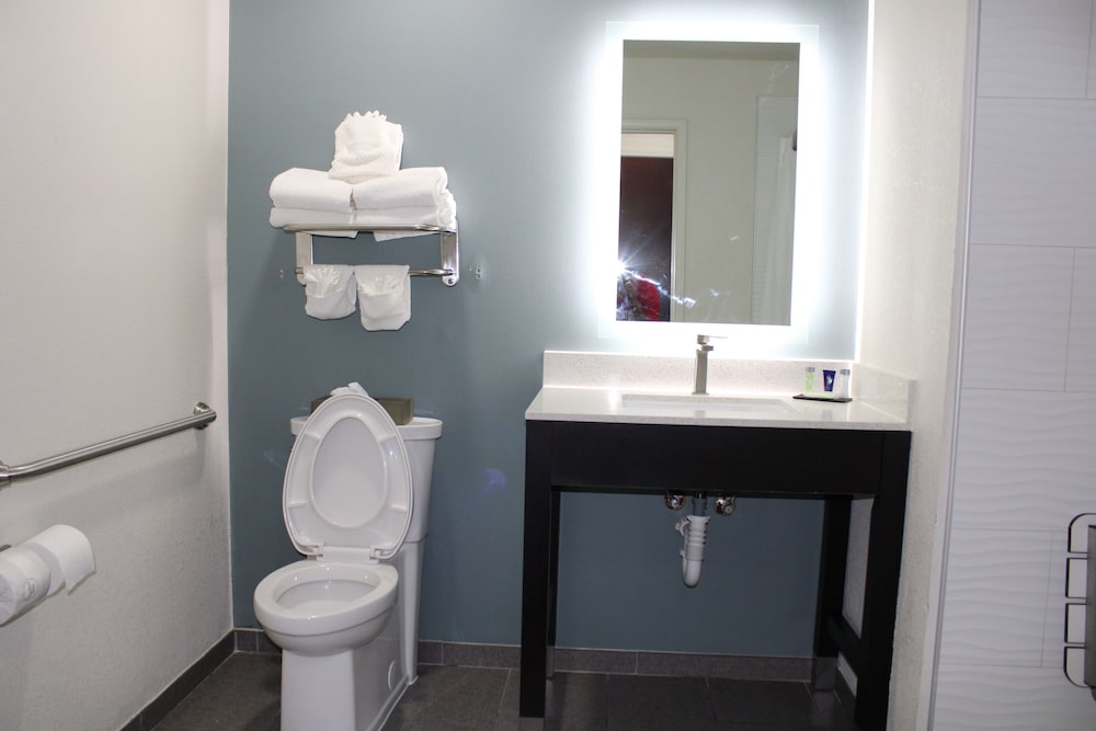 Room, 1 King Bed, Accessible, Non Smoking (Mobility, Roll-in Shower) - Photo 6
