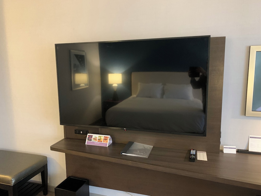 Deluxe Suite - Photo 4