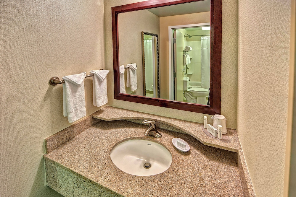 Suite, 1 Bedroom - Photo 3