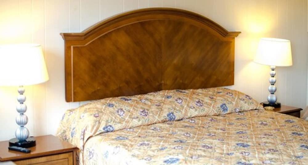 Basic Room 1 King Bed photo 3