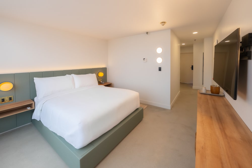 Deluxe King Accessible Room photo 3
