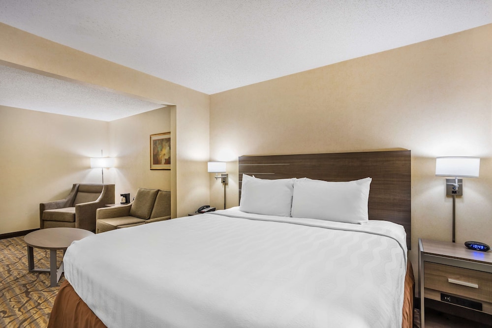 Suite, 1 King Bed, Non Smoking, Refrigerator & Microwave photo 1