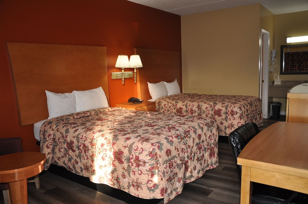 Comfort Suite - Photo 6
