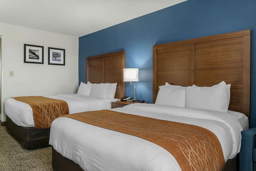 Room, 2 Queen Beds, Non Smoking "Pet Friendly" photo 2